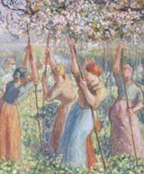 Pissarro - Linda Whiteley ; Colin Harrison - 9781910807521