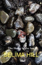 The House by the Sea - Selima Hill - 9781911048626