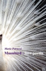 Moonbird - Mario Petrucci - 9781911048749