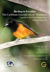 Birding in Paradise: The Caribean Emerald Isle of Montserrat