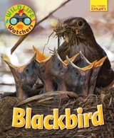 Wildlife Watchers: Blackbird - Ruth Owen - 9781911341185