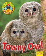 Wildlife Watchers: Tawny Owl - Ruth Owen - 9781911341208