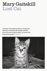 Lost Cat - Mary Gaitskill - 9781911547808