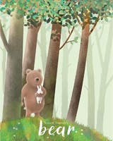 bear -  - 9781912061891