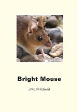 Bright Mouse - J. M. L. Pritchard - 9781912078868