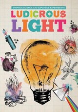 Ludicrous Light - Mike Clark - 9781912171316