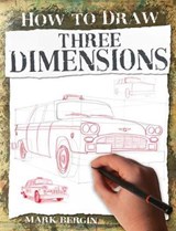 Three Dimensions - BERGIN,  Mark - 9781912537495