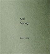 Still Spring - David Herd - 9781912616213