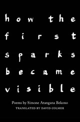 how the first sparks became visible - Simone Atangana Bekono - 9781912915552