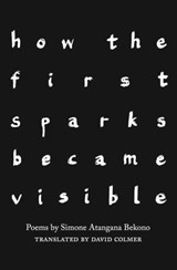 how the first sparks became visible - Simone Atangana Bekono ; Annabelle Binnerts - 9781912915569