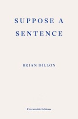 Suppose a Sentence - Brian Dillon - 9781913097011
