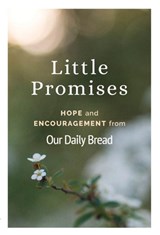 Little Promises - Our Daily Bread - 9781913135942