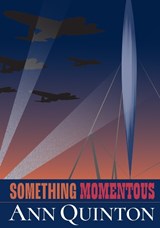 Something Momentous - Ann Quinton - 9781913415808