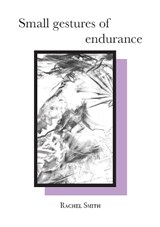 Small gestures of endurance - Rachel Smith - 9781913421489
