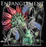 Entanglement - Paul KNight - 9781913425319