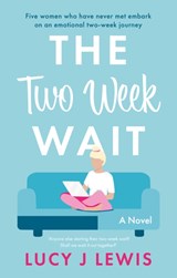 The Two Week Wait - Lucy J. Lewis - 9781913551438