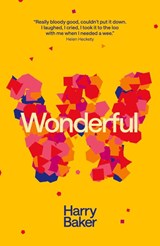 Wonderful - Harry Baker - 9781913958497