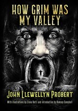 How Grim Was My Valley - John Llewellyn Probert - 9781914953293