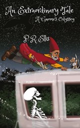 An Extraordinary Tale - P.R. Ellis - 9781915304254