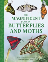 The Magnificent Book of Butterflies and Moths - Barbara Taylor - 9781915588425