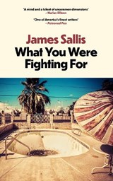 What You Were Fighting For - James Sallis - 9781915798503