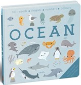 Baby Play Ocean - I am a Bookworm Ltd - 9781915902764