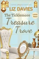 The Ticklemore Treasure Trove - Liz Davies - 9781915940094