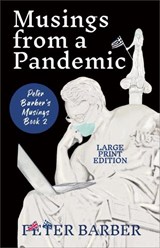 Musings from a Pandemic - Large Print Edition - Peter Barber - 9781916574212