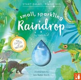 Small, Sparkling Raindrop - Mary Auld - 9781916780224