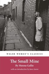 The Small Mine - Menna Gallie - 9781916821163