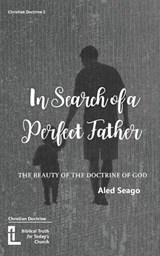 In Search of a Perfect Father - Aled Seago - 9781916834019