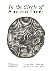 In the Circle of Ancient Trees - Trouet Valerie - 9781917226158
