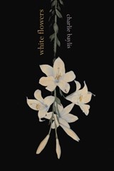 white flowers - Charlie Baylis - 9781917264167