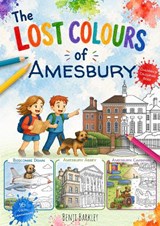 The Lost Colours of Amesbury - Local Colouring Book - Benji Barkley - 9781918051322