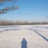 ANON - ALASTAIR HERRON - 9781919197302