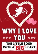 Why I Love You - Romney Nelson ; The Life Graduate Publishing Group - 9781922568373