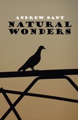 Natural Wonders - Andrew Sant - 9781923099678
