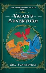 Valon's Adventure - Gill Summerville - 9781923517707