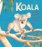 Koala - SAXBY,  Claire - 9781925126396