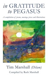 In Gratitude to Pegasus - Tim Marshall - 9781925353693