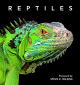 Reptiles - Steve Wilson - 9781925546675