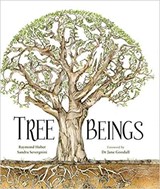 Tree Beings - Raymond Huber ; Sandra Severgnini - 9781925820539