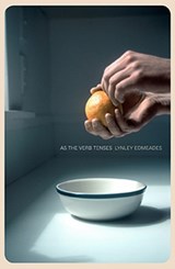 As the Verb Tenses - Lynley Edmeades - 9781927322253