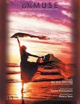 Able Muse - a review of poetry  prose and art - Summer 2012 (No. 13 - print edition) -  - 9781927409015