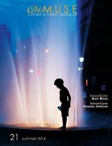 Able Muse Summer 2016 - PEPPLE,  Alexander - 9781927409787