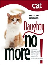 Naughty No More - Marilyn J. Krieger - 9781933958927