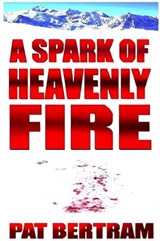 A Spark of Heavenly Fire - Pat Bertram - 9781935171232