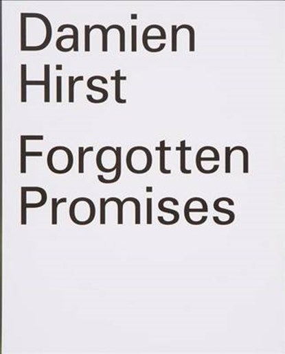 Damien Hirst, niet bekend - Paperback - 9781935263333