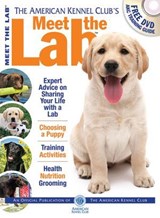 Meet the Lab - American Kennel Club - 9781937049003