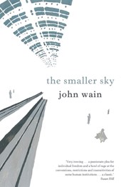 The Smaller Sky
